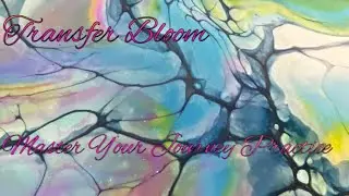Become A Pro At The Transfer Bloom Spin: Master Your Journey Practice