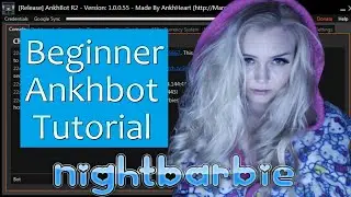 Make a Bot, Personalize Settings & Create Commands: Ankhbot