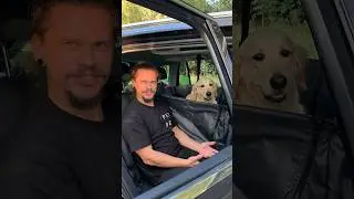АВТОГАМАК ТРАНСФОРМЕР 🔥