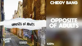 Chiddy Bang - Opposite Of Adults (432Hz)