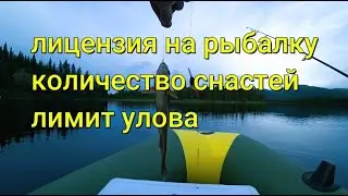Аляска.Лицензия на рыбалку. Количество снастей,лимиты,размеры, вес улова.