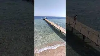Море - это любовь!