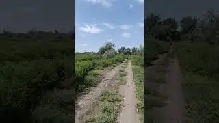 "Рыбхоз" рядом с селом Озерное.