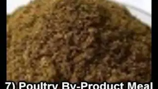 Top 10 Animal Sourced By-Products