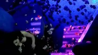Despina Vandi - Erota thelei i zoi @ VOX live (31/12)