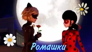 Клип Леди баг и Супер кот Ромашки