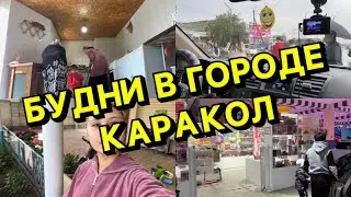 ЛЮБИМЫЙ КАРАКОЛ!❤️//КЕЛИНСКИЕ БУДНИ