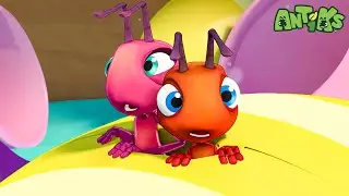 Egg Adventure | Funny Cartoons For All The Family! | Funny Videos for kids | ANTIKS 🐜🌿