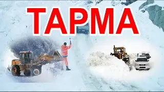 Тарма 2021 / Лавина 2021 / Avalanche 2021