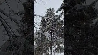 Залепательно 😍😍😍