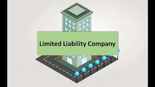 WHY MILLIONAIRES LOVE LLC's (Stevewilldoit LLC) (limited liability company)