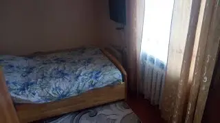 Где и как проводились стримы Cat Simulator Live