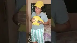 Criador de conteúdo !