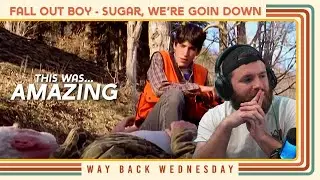 Video Editor Reacts To Fall Out Boy - Sugar, We're Goin Down