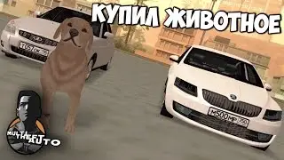 SMOTRA MTA | Собака в GTA!! Купил питомца!!!