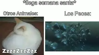 llega semana santa👼: