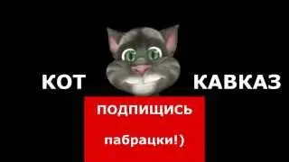 Кот Кавказ - Шашлычник