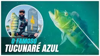 Pesquei até anoitecer - Pesca Sub