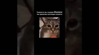 Наша раша 🇷🇺🇷🇺