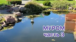 Всё прекрасное рядом❤️стоит только обратить внимание. МУРОМ. Часть 3.