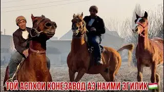 Асп тойхои нав конезавод Наими Эгилик 11 января 2025 г.