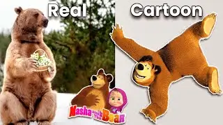 masha and the bear characters in real life 💥