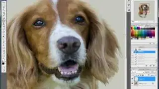 Pet Portraits by Sally Jane Photographic Art