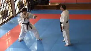 бункай ката Риуко.