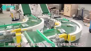 BIB Twin Hopper Secondary Packing Machine For Corn Seed 2kg*20bags into Woven bag