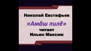 «Амăш пилĕ» Николай Евстафьев