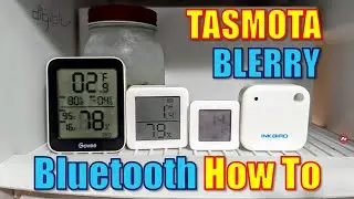 TASMOTA ESP32 Bluetooth Blerry How To - Temperatures into Home Assistant