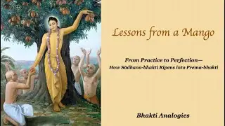 Lessons from a Mango: From Practice to Perfection (How Sadhana-bhakti Ripens into Prema-bhakti)