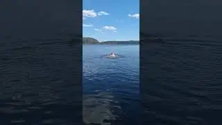 Выходные🎣🏕🏊‍♂️