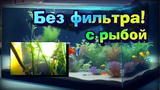 АКВАРИУМ БЕЗ ФИЛЬТРА