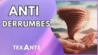 🚩3 KEYS to make a Sand Anthill with capillary hydration (TUTORIAL step by step)