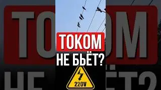 ⚡ Почему электрики не боятся высокого напряжения: Секрет здесь!