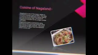 Class 10th English project on Nagaland... 