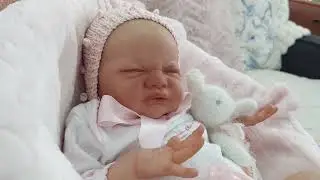 Doll Show Haul - Ipswich Doll Show