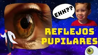 👀👀 ¿¿Qué son los REFLEJOS PUPILARES?? - 2 reflejos que NO CONOCES