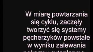 Eukarioty - powstanie, teoria endosymbiozy.