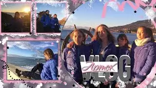 VLOG: АРТЕК || 14 смена