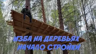 ЛЕСНАЯ СТОЛЯРКА / ПЛАТФОРМА НА ДЕРЕВЬЯХ