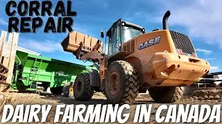 Back Filling Corrals