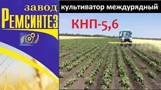 культиватор междурядный КНП-5,6 от завода Ремсинтез
