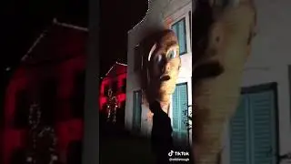 12 de diciembre de 2018