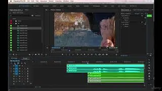 Adobe Premiere Pro CC Complete A Video Editing Project 6