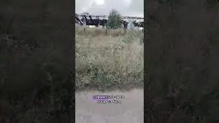 СВО Тишина Войны! 😣😥🥺 Мысли Зрячего