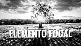 COMPOSICIÓN FOTOGRÁFICA: ELEMENTO FOCAL