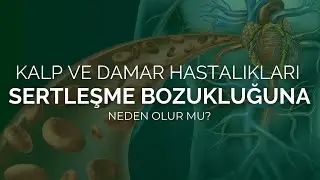 Do Cardiovascular Diseases Cause Erectile Dysfunction? - Prof. Dr. Ömer Faruk Karataş