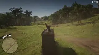 Rdr2 Глава3 незнакомец